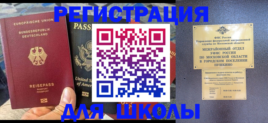 прописка 2025 в Волосово